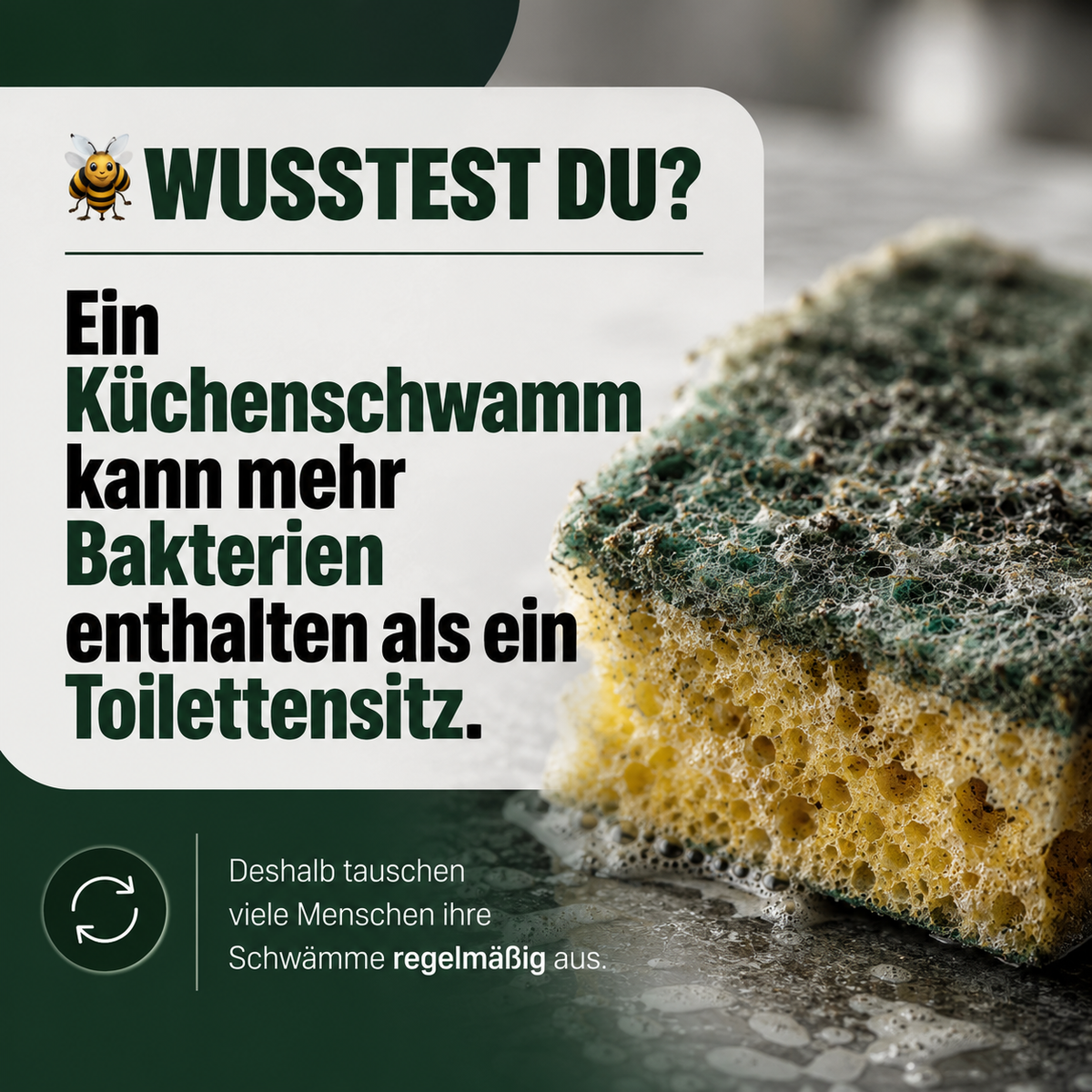 Küchenschwamm richtig wechseln und reinigen: So bleibt die Küche hygienischer