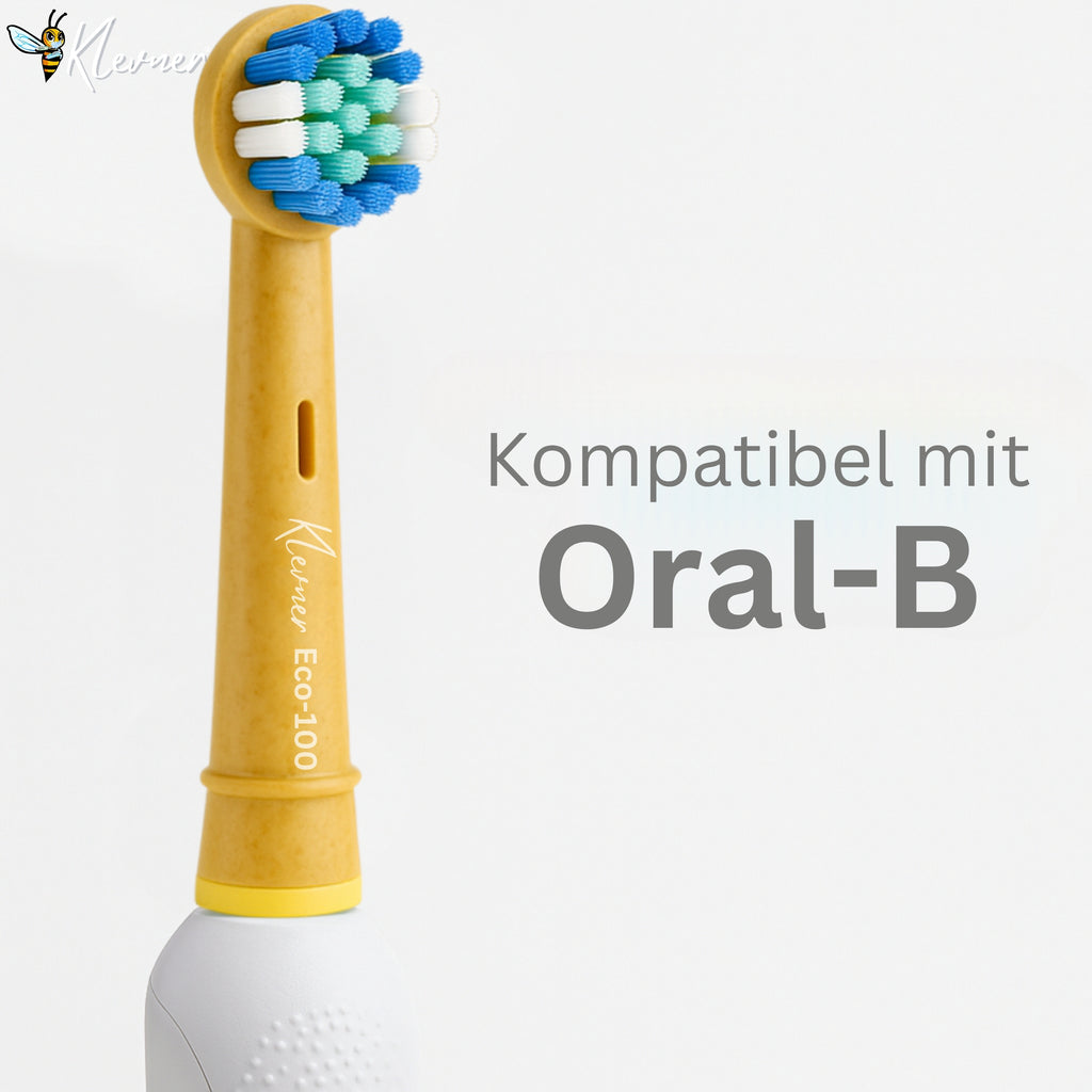 Eco einhundert 12er-Set – 3× 4 Aufsteckbürsten mit biobasiertem Gehäuse