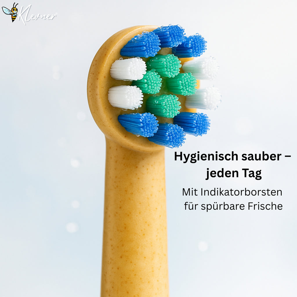 Eco einhundert 12er-Set – 3× 4 Aufsteckbürsten mit biobasiertem Gehäuse