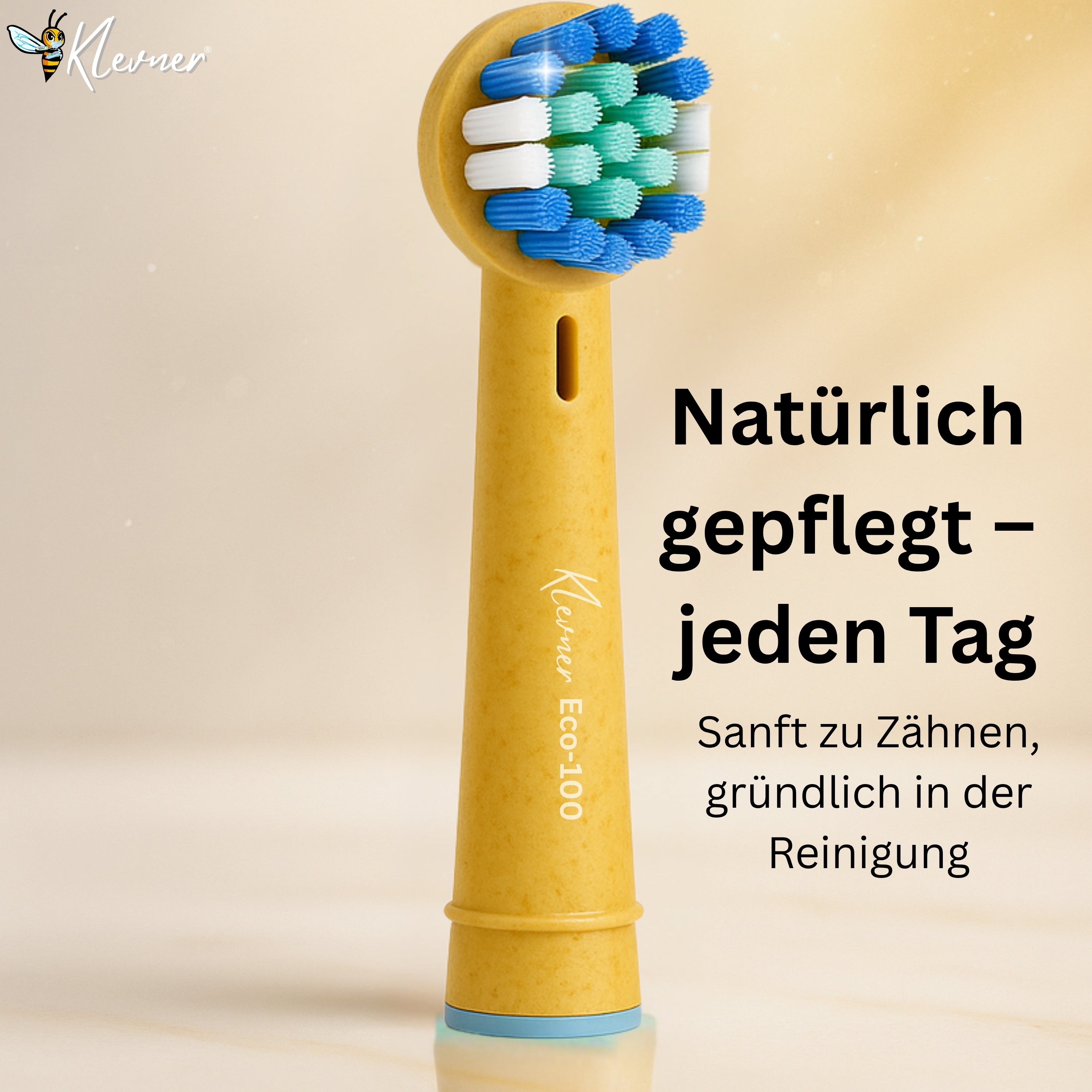 Eco einhundert 12er-Set – 3× 4 Aufsteckbürsten mit biobasiertem Gehäuse